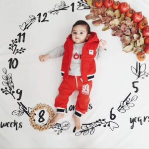 پارچه ماهگرد تمشک